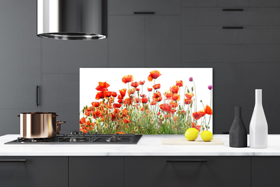 Kitchen Splashback Poppies nature red