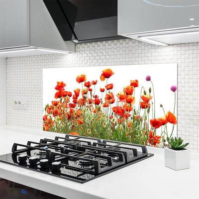 Kitchen Splashback Poppies nature red