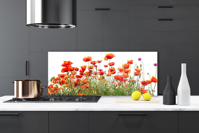 Kitchen Splashback Poppies nature red