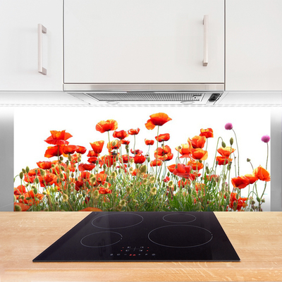 Kitchen Splashback Poppies nature red