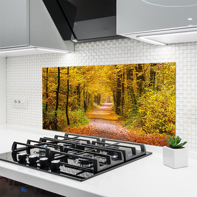 Kitchen Splashback Forest nature brown green