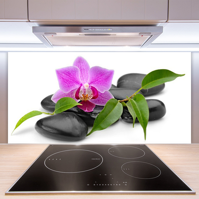 Kitchen Splashback Flower stones art pink black