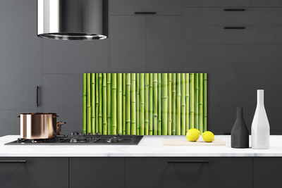 Kitchen Splashback Bamboo canes floral green