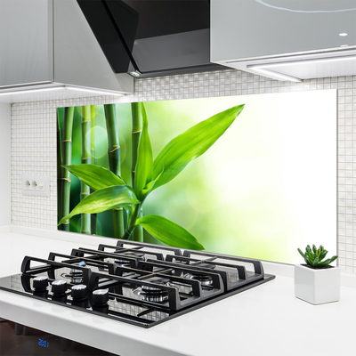 Kitchen Splashback Bamboo canes floral green