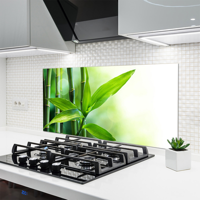 Kitchen Splashback Bamboo canes floral green