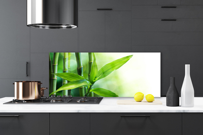 Kitchen Splashback Bamboo canes floral green