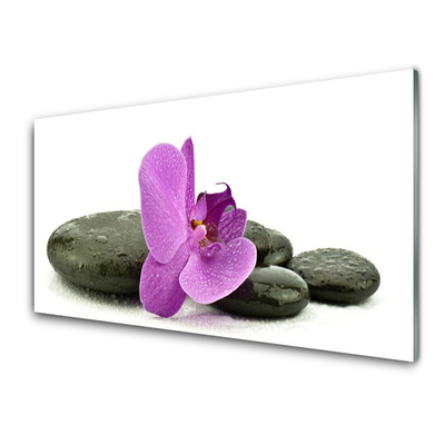 Kitchen Splashback Flower stones art pink black