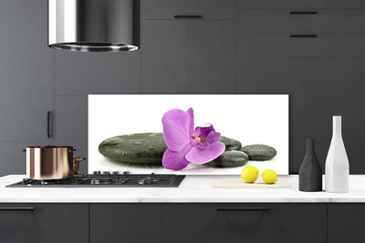 Kitchen Splashback Flower stones art pink black