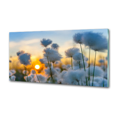 Kitchen Splashback Flowers floral white