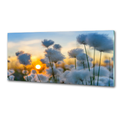 Kitchen Splashback Flowers floral white