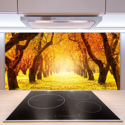 Kitchen Splashback Forest footpath nature brown yellow