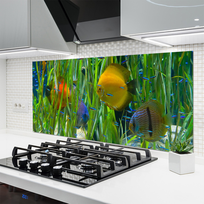 Kitchen Splashback Fish nature yellow