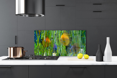 Kitchen Splashback Fish nature yellow