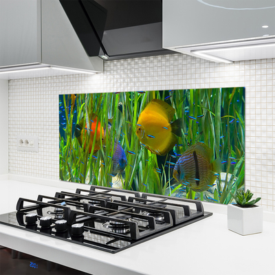 Kitchen Splashback Fish nature yellow