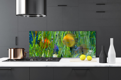 Kitchen Splashback Fish nature yellow