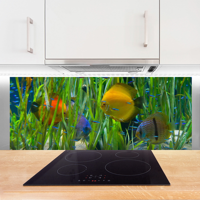 Kitchen Splashback Fish nature yellow