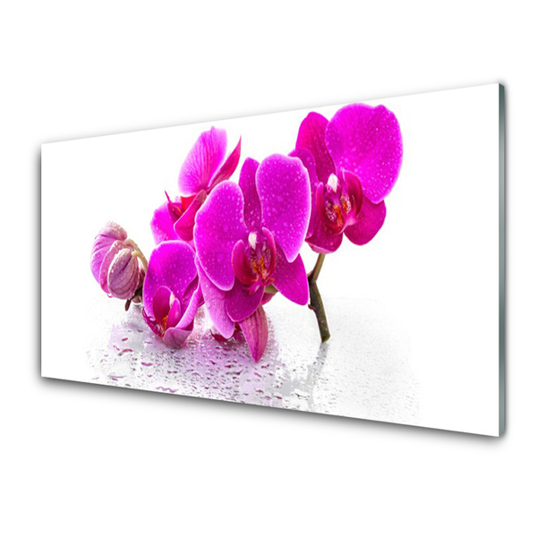 Kitchen Splashback Flowers floral pink