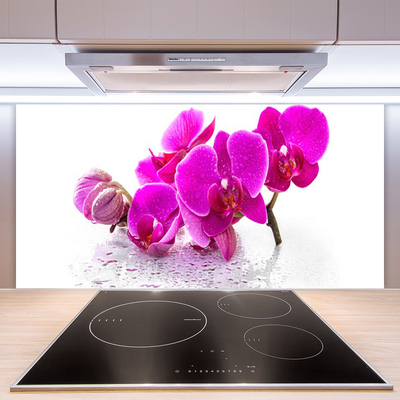 Kitchen Splashback Flowers floral pink