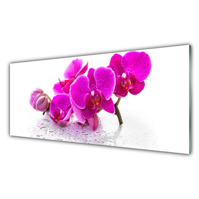 Kitchen Splashback Flowers floral pink