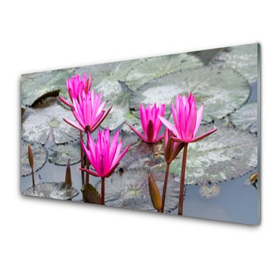 Kitchen Splashback Flowers floral red