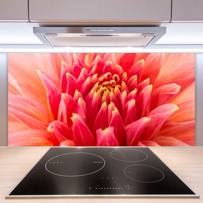 Kitchen Splashback Flower floral orange