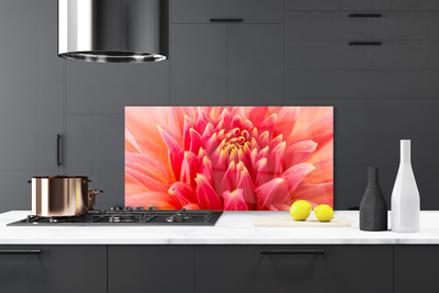 Kitchen Splashback Flower floral orange