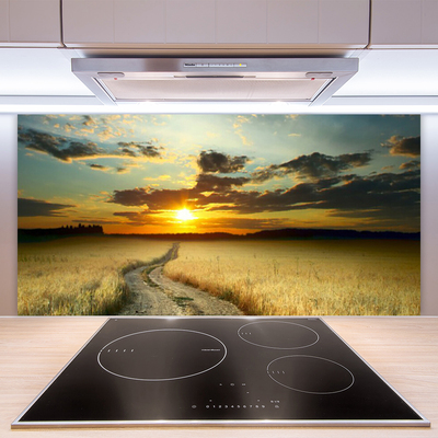 Kitchen Splashback Way meadow landscape grey yellow