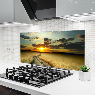 Kitchen Splashback Way meadow landscape grey yellow