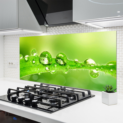 Kitchen Splashback Leaf dewdrops floral green