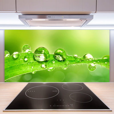 Kitchen Splashback Leaf dewdrops floral green