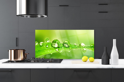 Kitchen Splashback Leaf dewdrops floral green