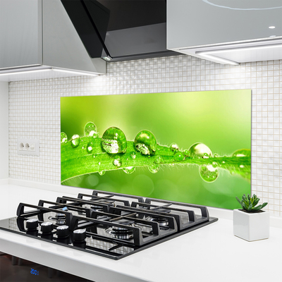 Kitchen Splashback Leaf dewdrops floral green