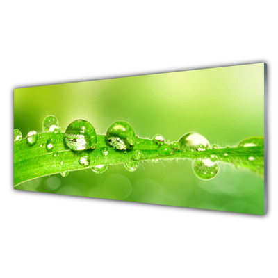 Kitchen Splashback Leaf dewdrops floral green