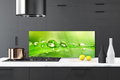 Kitchen Splashback Leaf dewdrops floral green