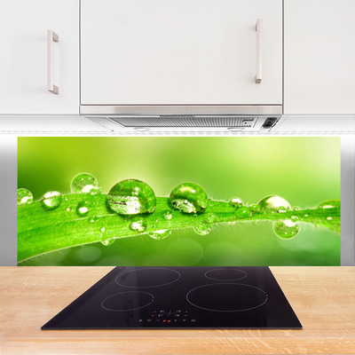 Kitchen Splashback Leaf dewdrops floral green