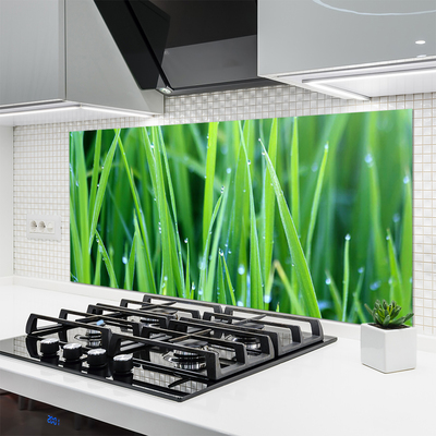 Kitchen Splashback Weed nature green