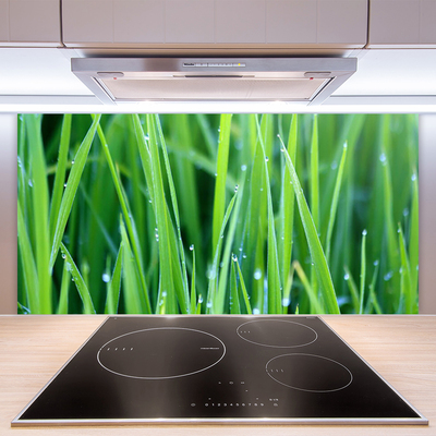 Kitchen Splashback Weed nature green