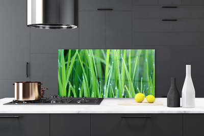 Kitchen Splashback Weed nature green