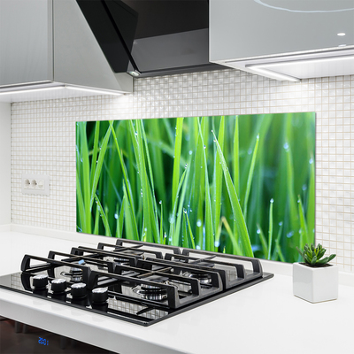 Kitchen Splashback Weed nature green