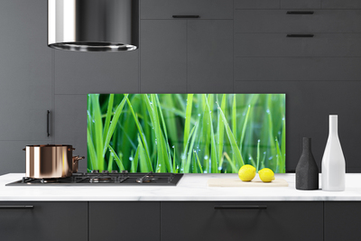 Kitchen Splashback Weed nature green