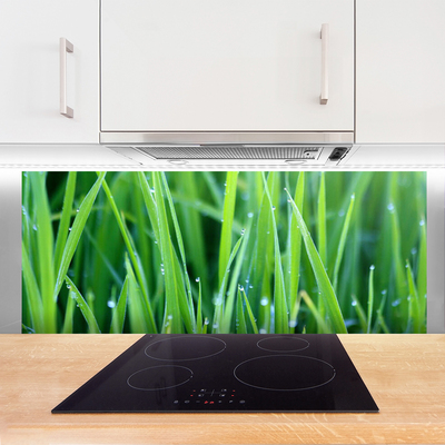 Kitchen Splashback Weed nature green