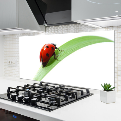 Kitchen Splashback Ladybird beetle nature green red black