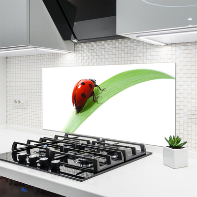 Kitchen Splashback Ladybird beetle nature green red black