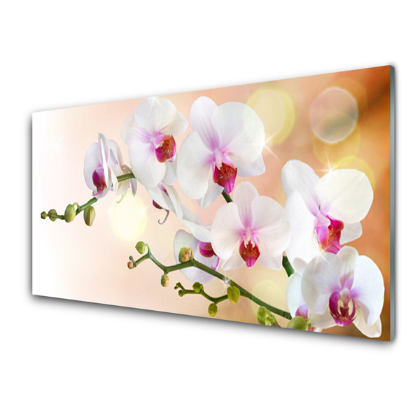 Kitchen Splashback Flowers floral white pink