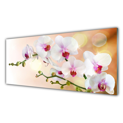 Kitchen Splashback Flowers floral white pink