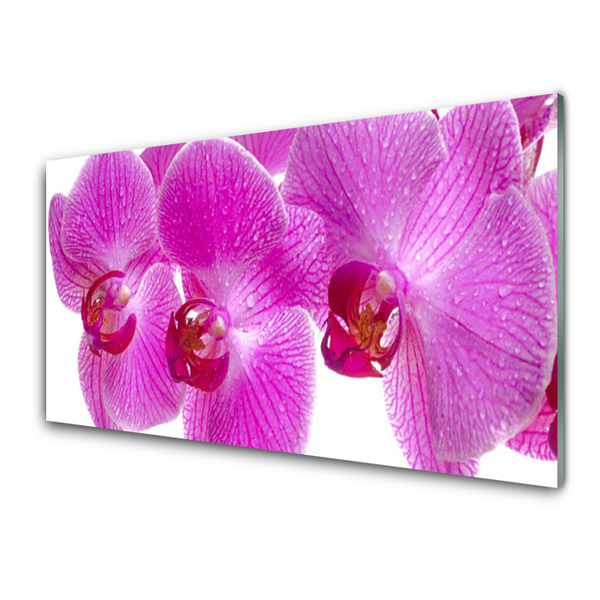 Kitchen Splashback Flowers floral pink