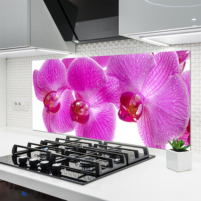 Kitchen Splashback Flowers floral pink