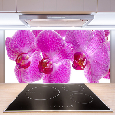 Kitchen Splashback Flowers floral pink