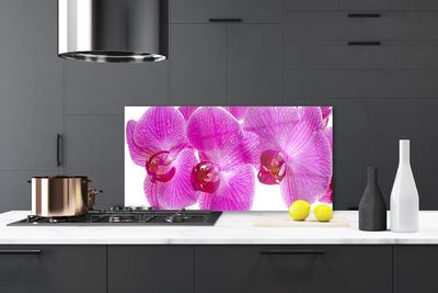 Kitchen Splashback Flowers floral pink