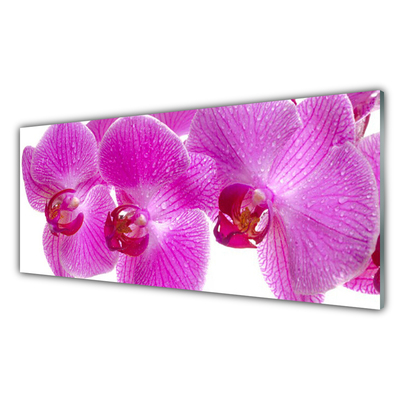 Kitchen Splashback Flowers floral pink